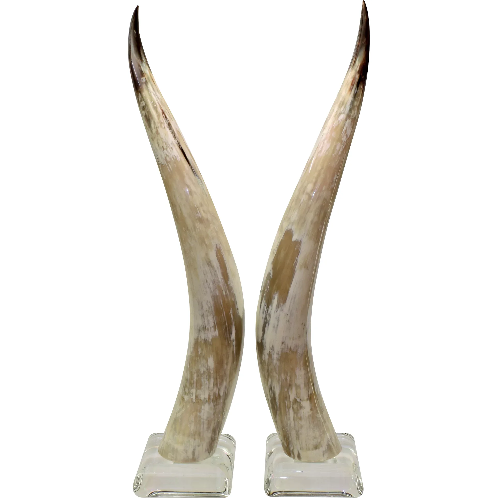 Tall Pair Vintage Lucite Mounted Steer Horns