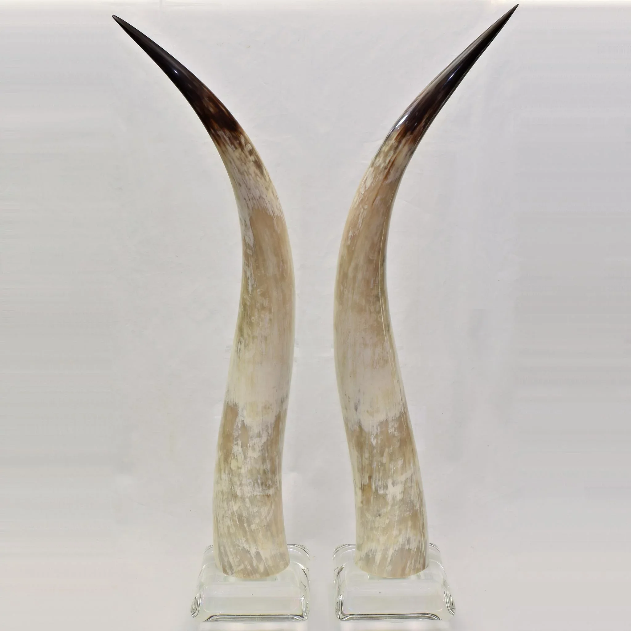 Tall Pair Vintage Lucite Mounted Steer Horns - View 2
