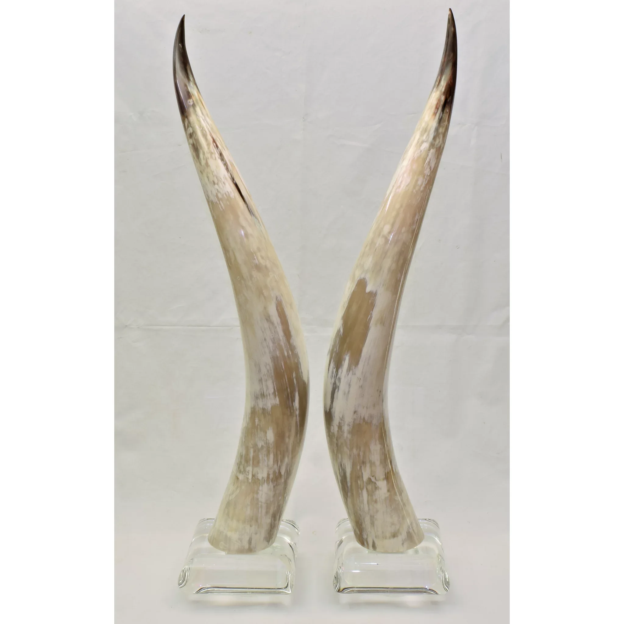 Tall Pair Vintage Lucite Mounted Steer Horns - View 4