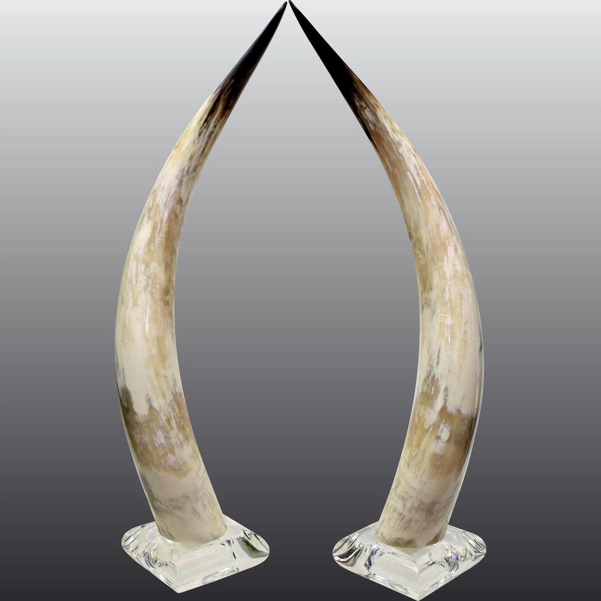 Tall Pair Vintage Lucite Mounted Steer Horns - View 6