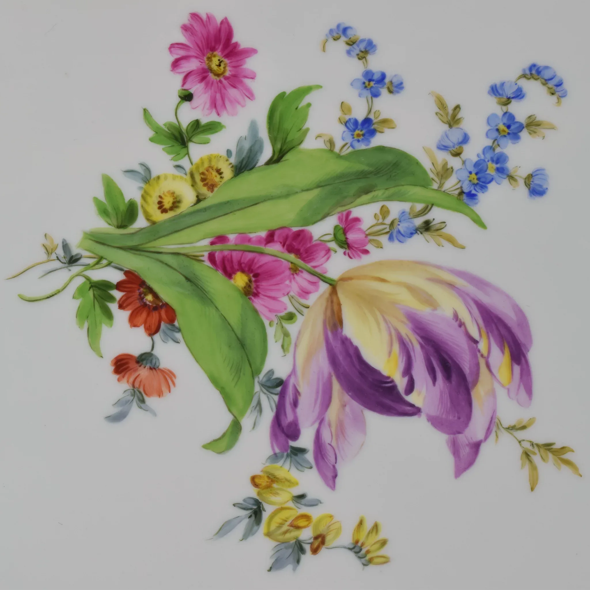 Large Antique Meissen Porcelain Tray - Butterflies, Tulip and Flowers - Gilded - View 6
