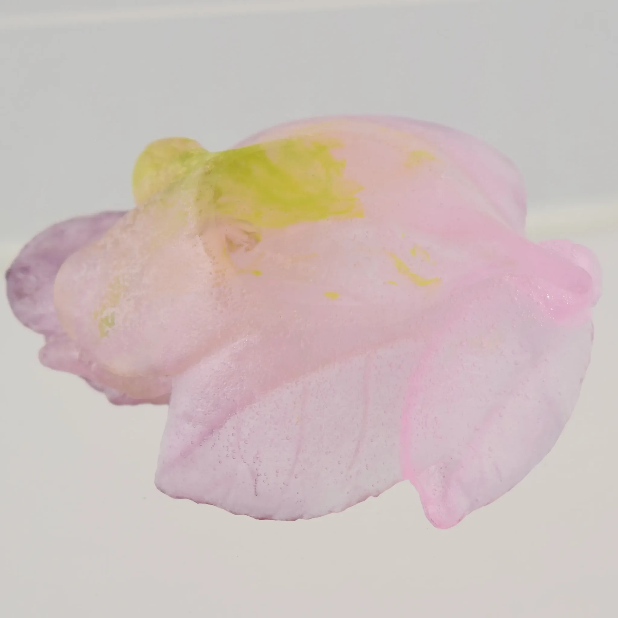Vintage Daum Crystal Pate de Verre Small Rose Passion Dish - View 5