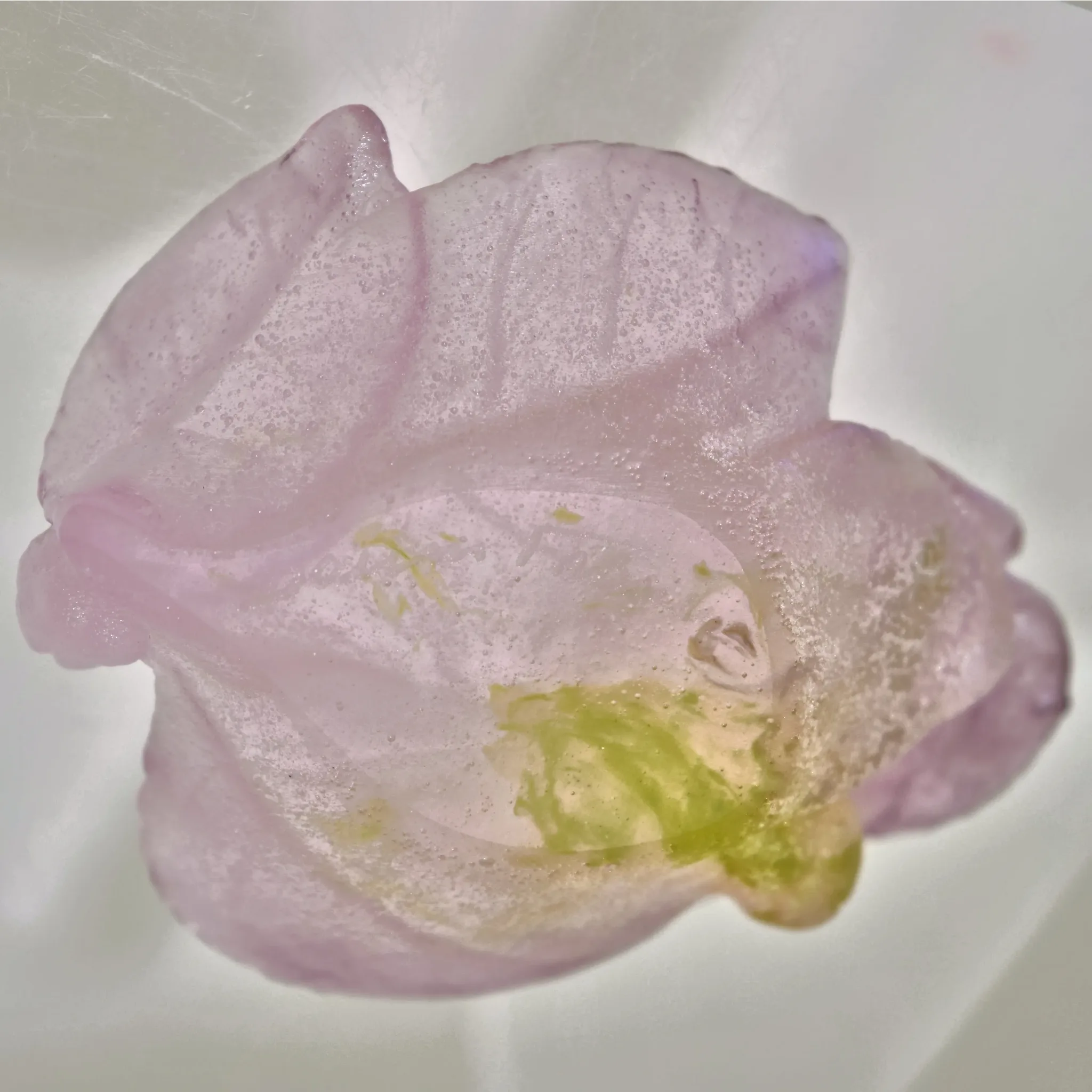 Vintage Daum Crystal Pate de Verre Small Rose Passion Dish - View 8