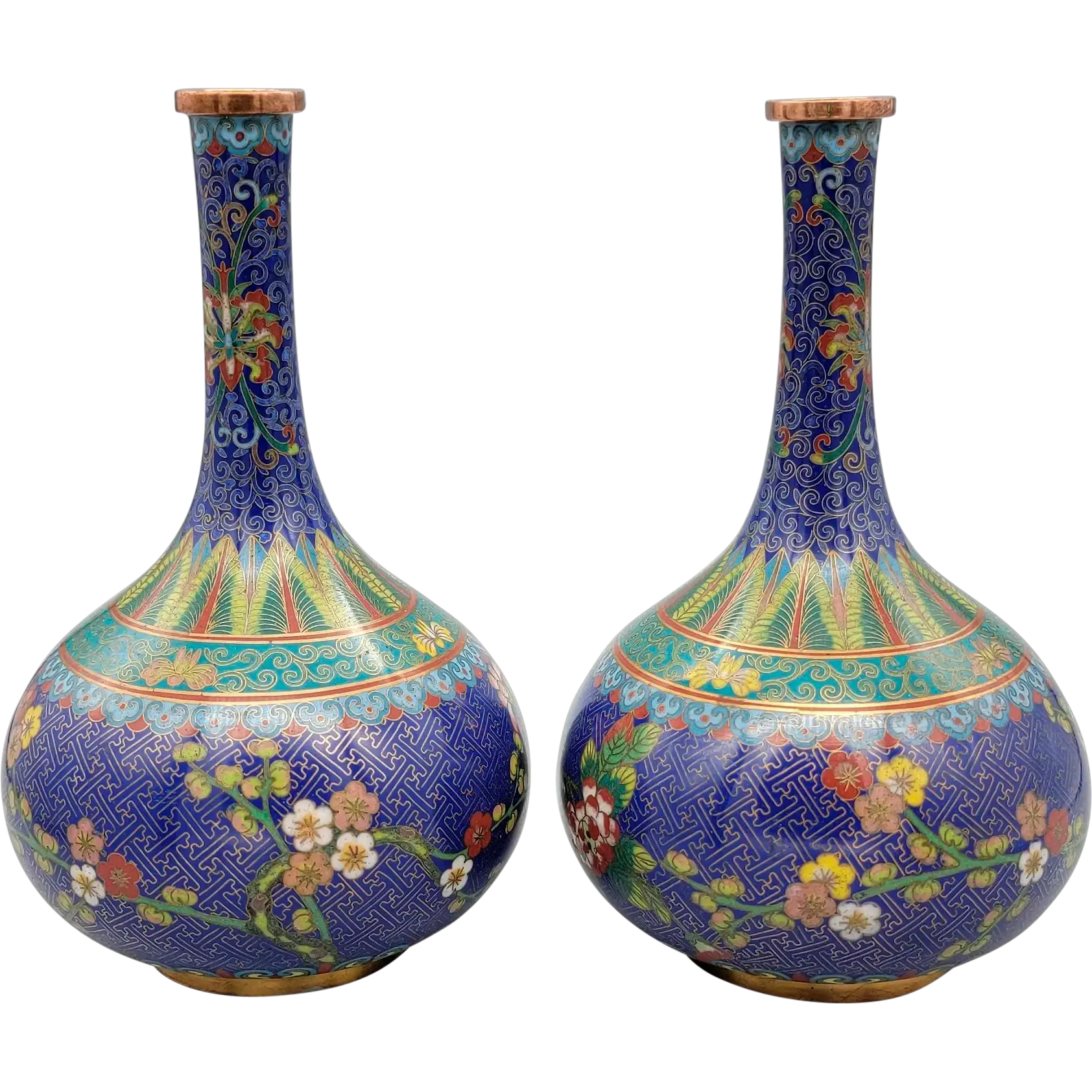 Photo submitted by Canada with their testimonial