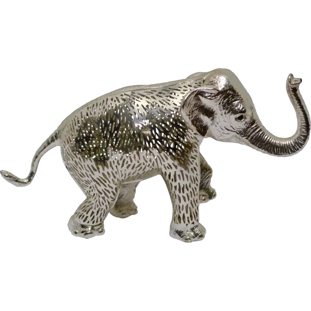 Photo submitted by Texas with their testimonial