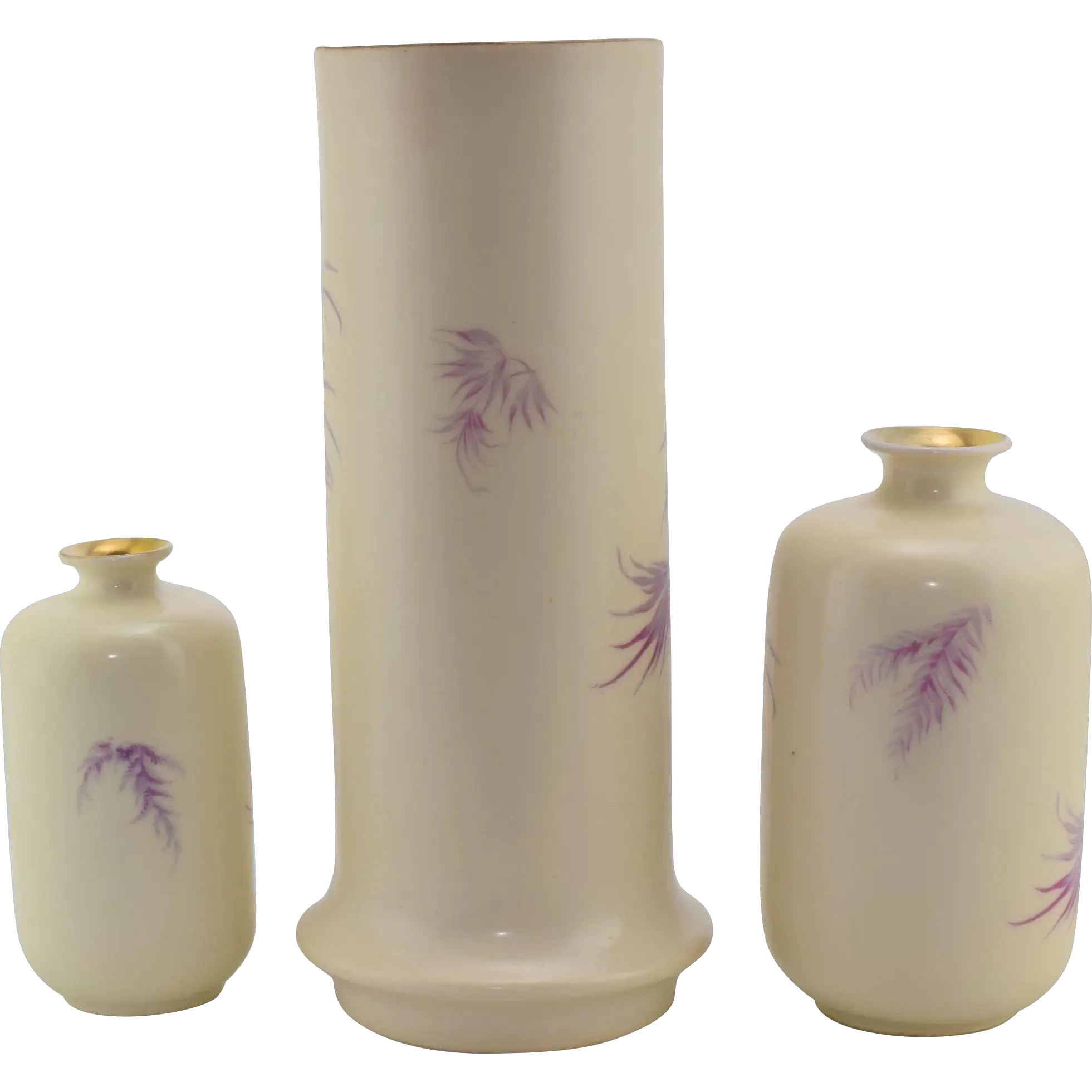 Photo submitted by New Zealand with their testimonial