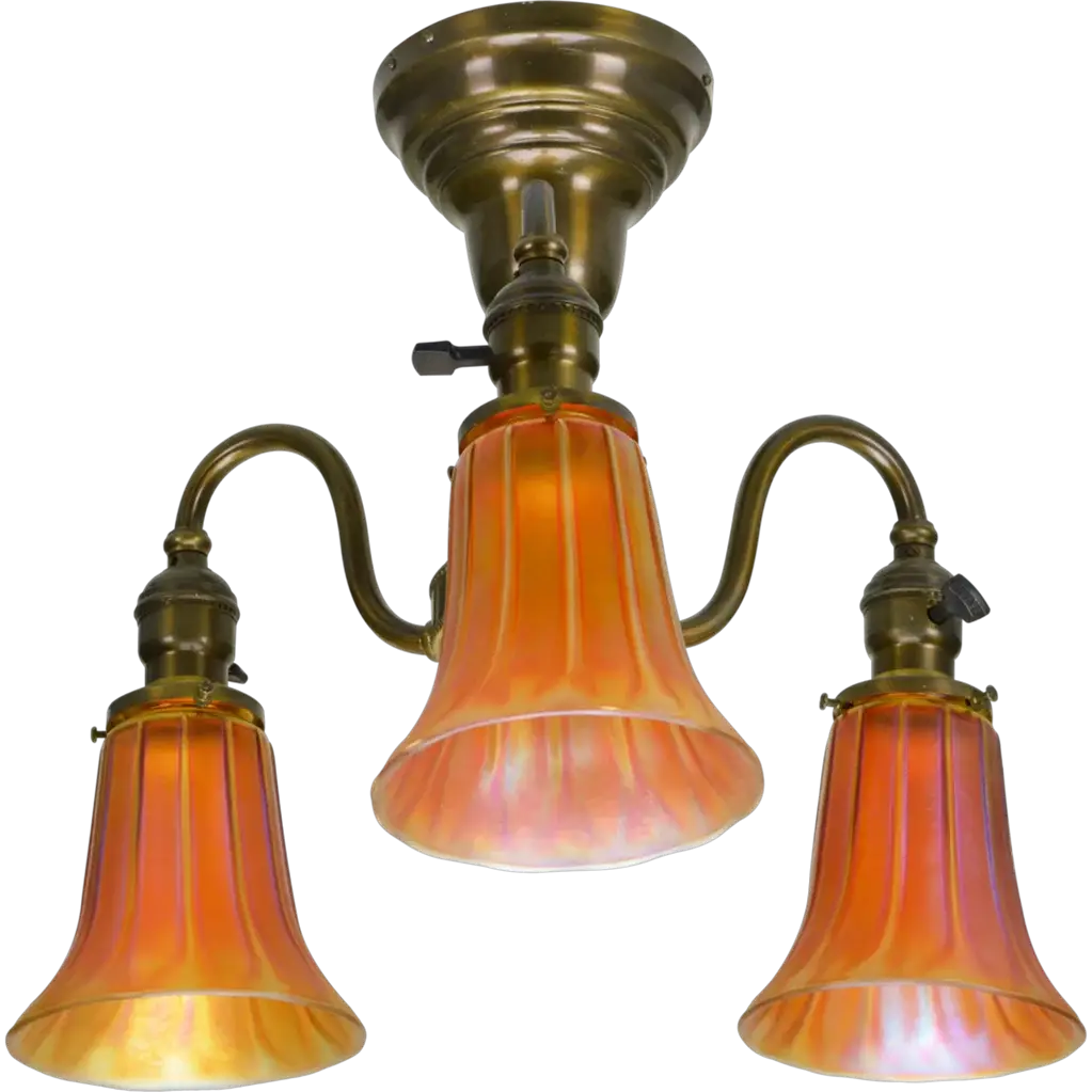 Photo submitted by Maine with their testimonial